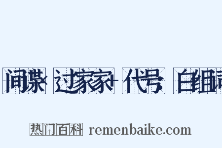 间谍×过家家+代号：白组词是什么意思的图片